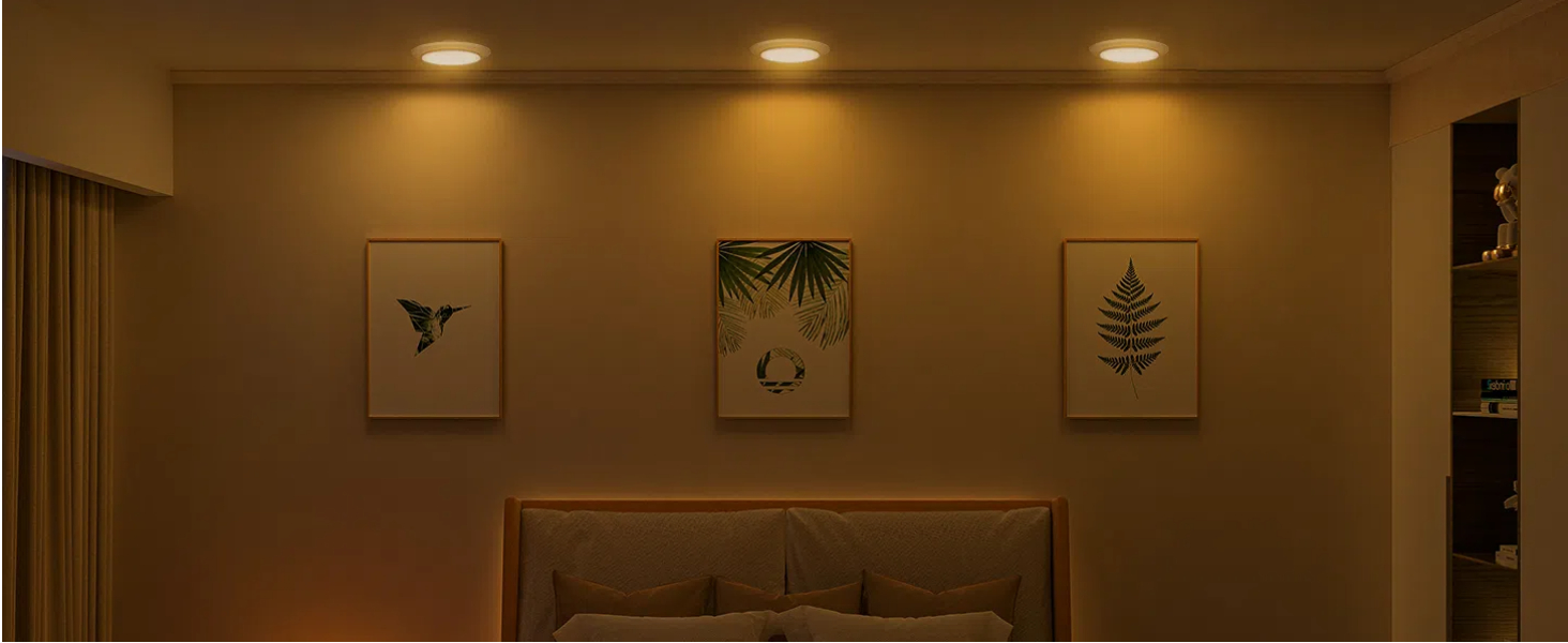 disk light