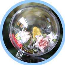 4.3Transparent Ball