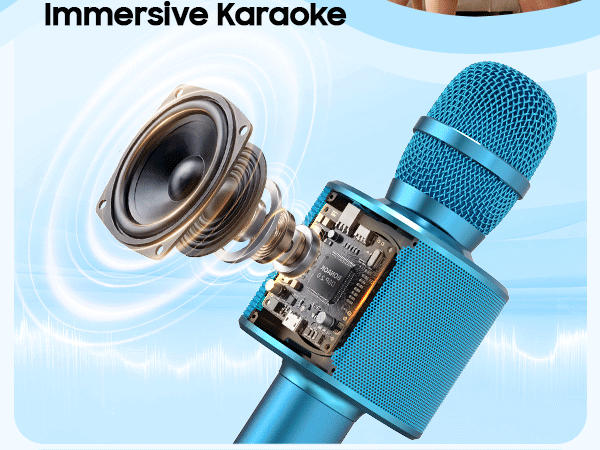 karaoke microphone