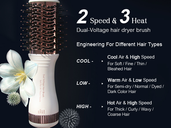 2 speed and 3 heat Dual Voltage Hair Dryer Brush