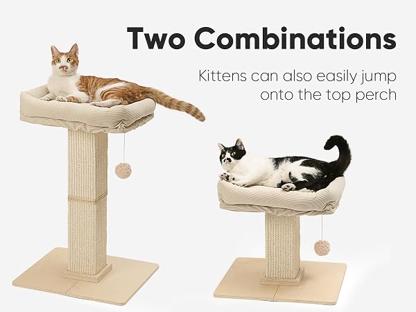 large cat post