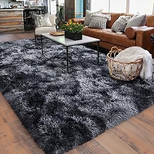 living room rug