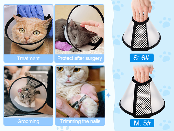 cat cones after surgery