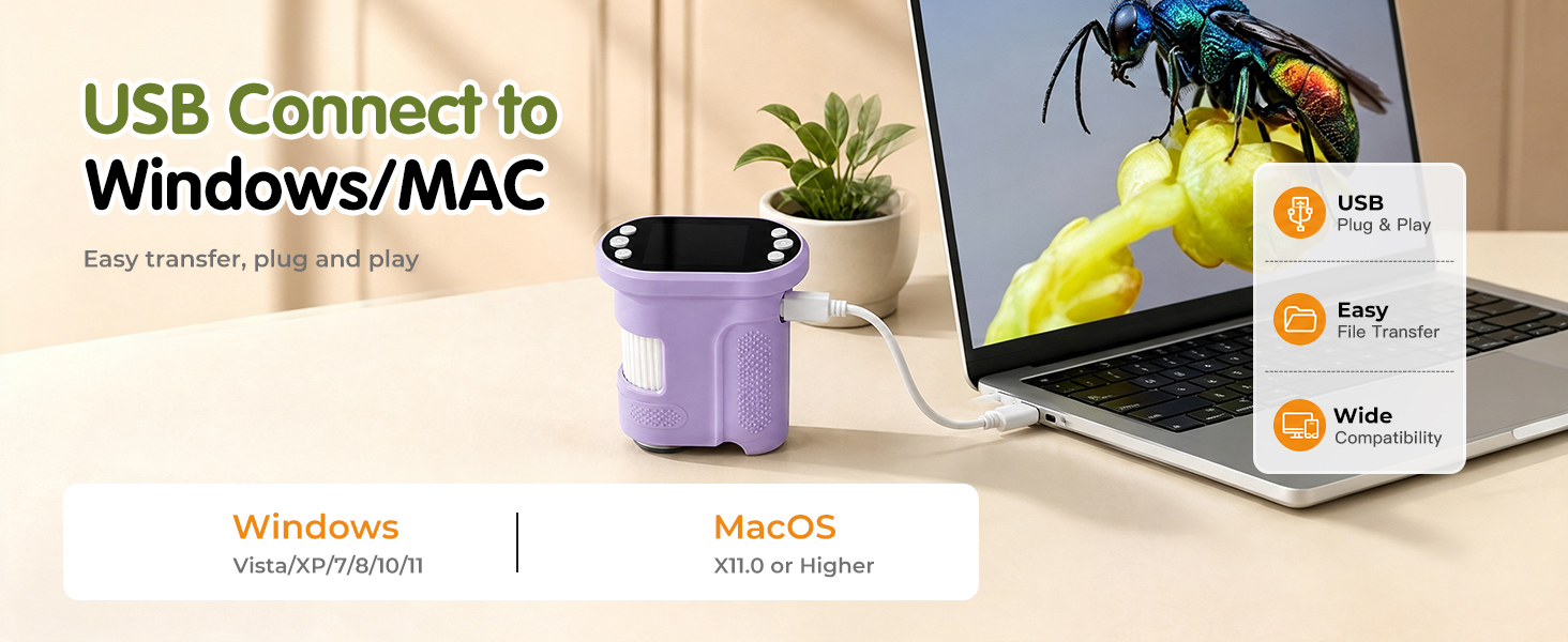 usb connect to windows/mac