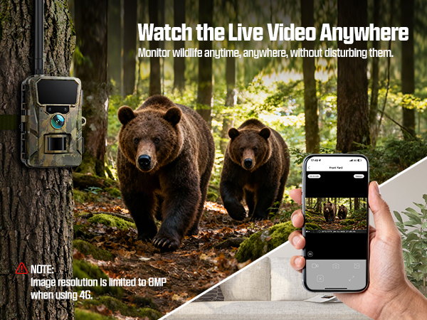 trail camera
