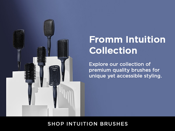 fromm intuition brushes