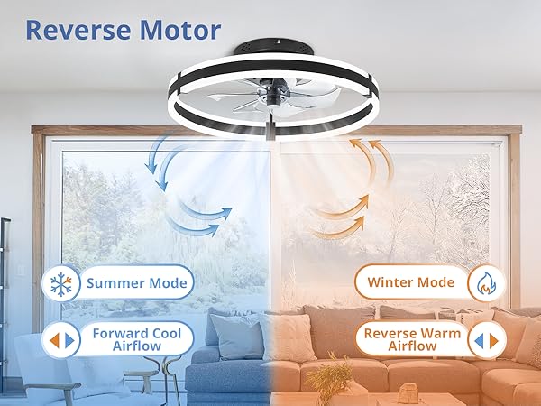 Ceiling Fan with Remote