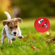 Coricorsu Squeaky dog toys
