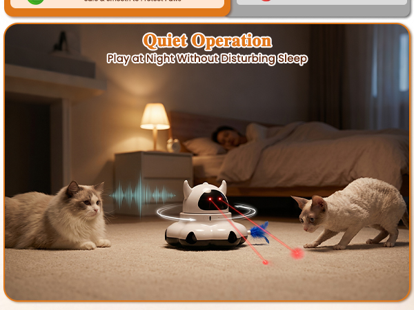automatic cat toy
