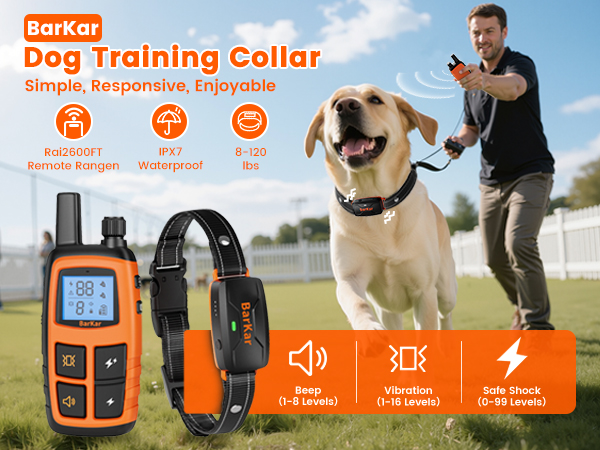 dog training collar