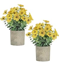 https://m.media-amazon.com/images/I/51gsER6IL7L.__AC_SR200,225___.jpg