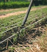 4-Tine Cultivator