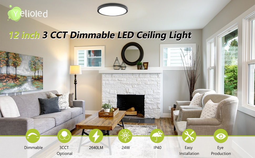 12inch led ceiling light black