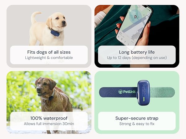 gps dog tracker