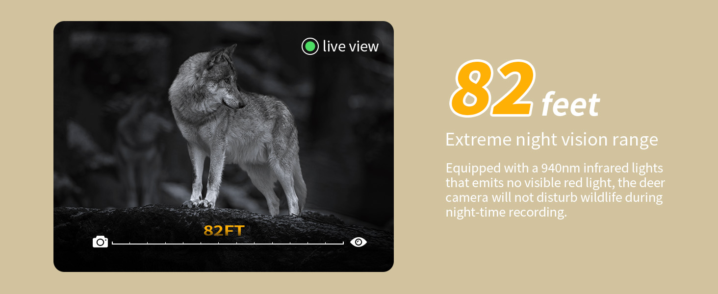 game camera