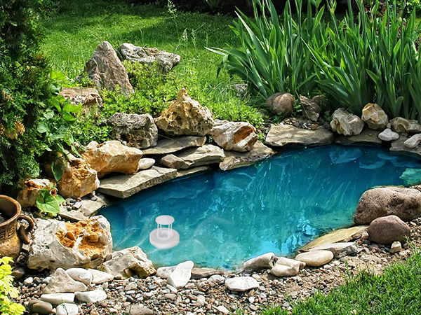 pond decoration