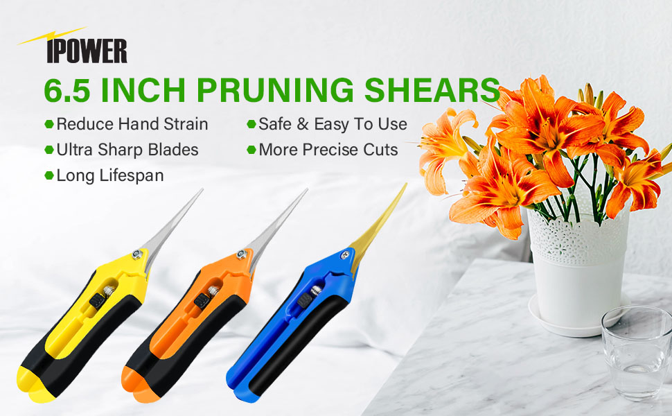 Pruner