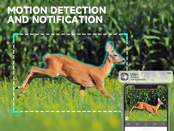 4g trail cameras with night vision motion