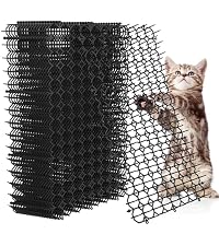 https://m.media-amazon.com/images/I/51AFMwsX09L.__AC_SR200,225___.jpg