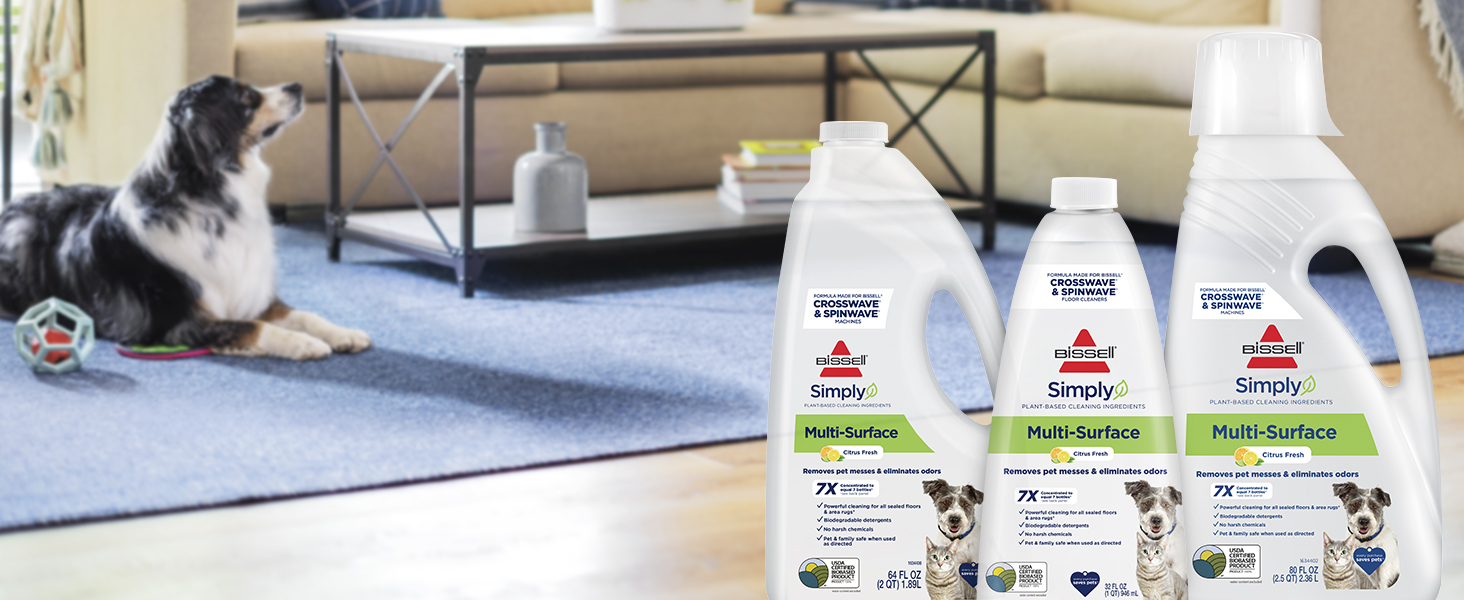 hard floor sanitizer