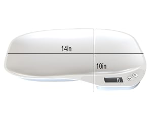 pet scale big size