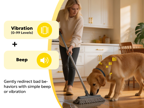 heaflex dog training collar