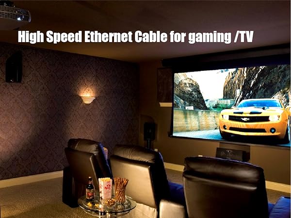 Ethernet Cable 100 ft High Speed