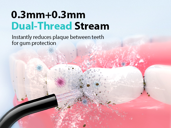 water dental flosser pick for teeth