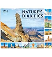Gag Gifts - Funny Calendar 2026, JAN 2026 - DEC 2026 Wall calendar, 12-Month White Elephants Funn...