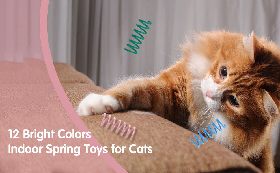 cat spring toys