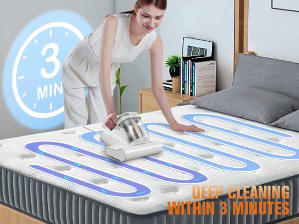 dust mite mattress vacuum