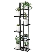 Laiensia Bamboo Plant Stand Rack 6 Tier,Multiple Stand Holder Shelf Rack, Indoor&Outdoor Planter ...
