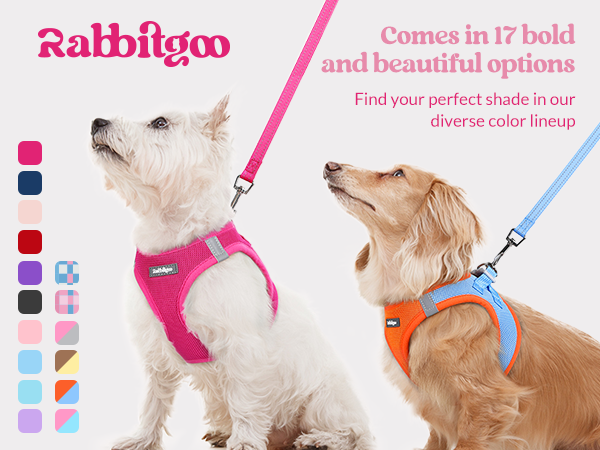 dog harness for small medium dogs