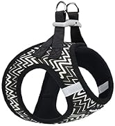 black dog harness