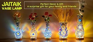 https://m.media-amazon.com/images/S/aplus-media-library-service-media/b6504b39-ea95-472e-b386-4f06cd1329b8.__CR0,0,1358,625_PT0_SX315_V1___.jpg