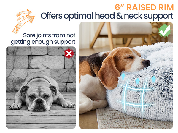 Support dog bed