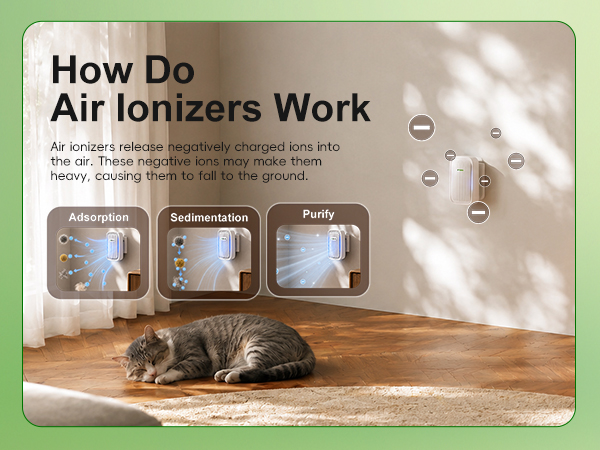 How Do Work Air lonizers