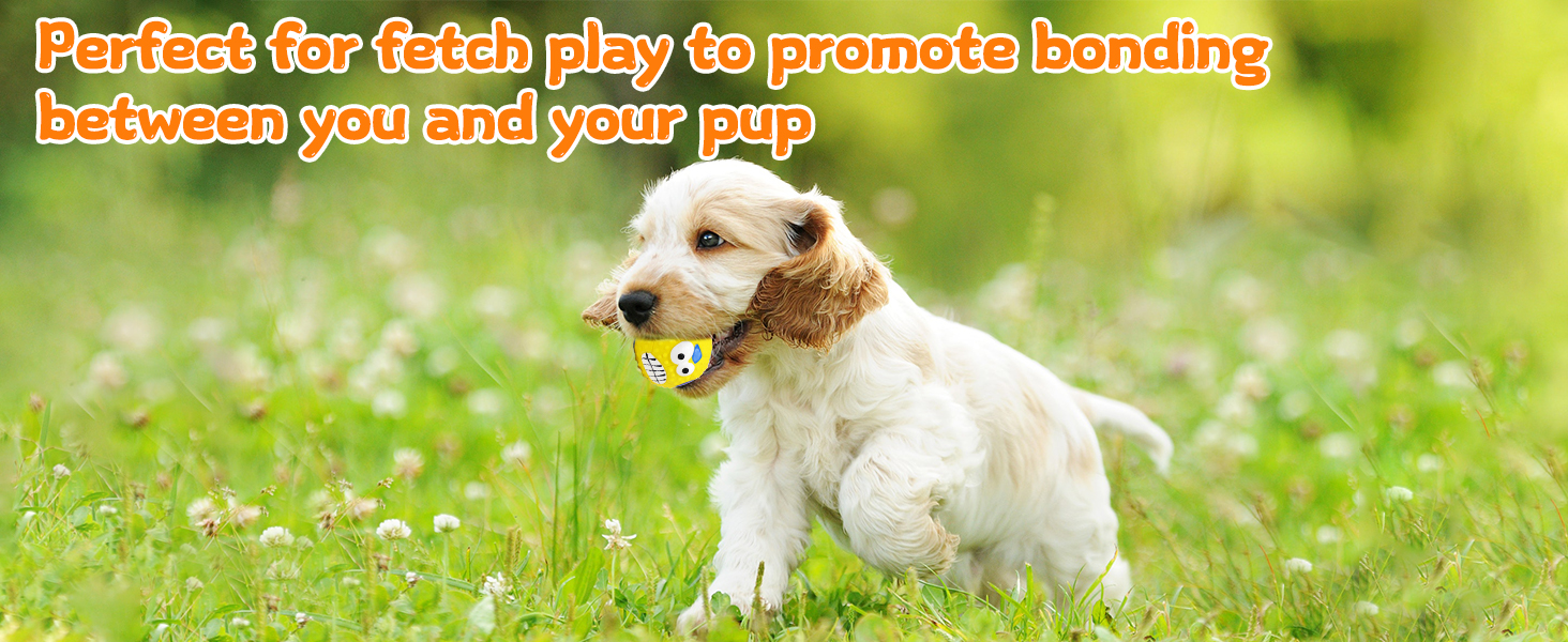 balls for dogs to fetch