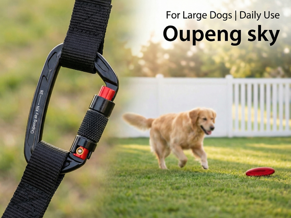 Carabiner Clips