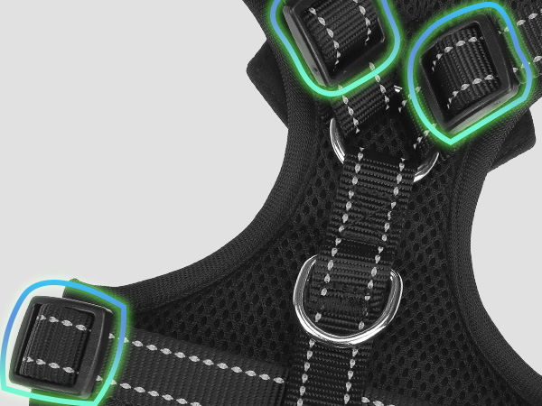Tuxedo Dog Harness