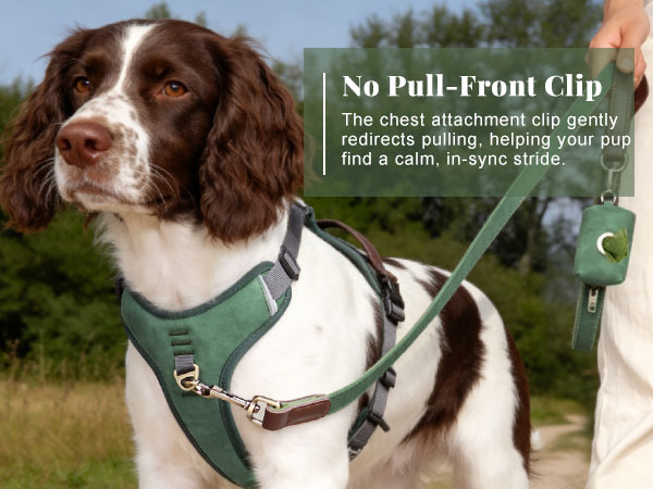 dog harness for no pull training