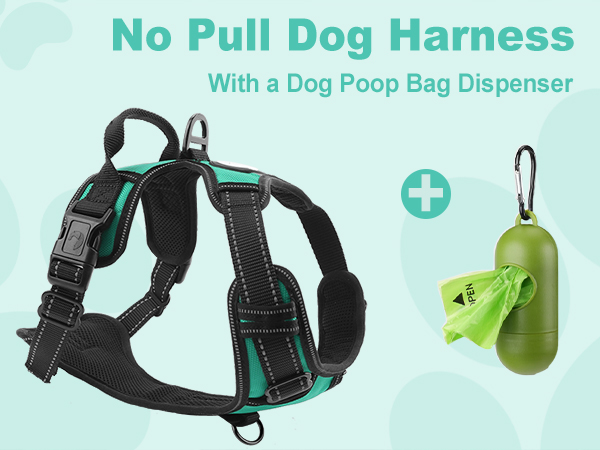 dog harness