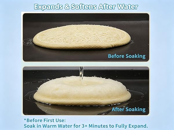 expands & softens after water