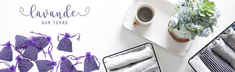 48 Packs Lavender Sachets
