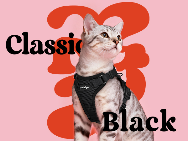rabbitgoo Escape Proof Cat Harness with Leash Set
