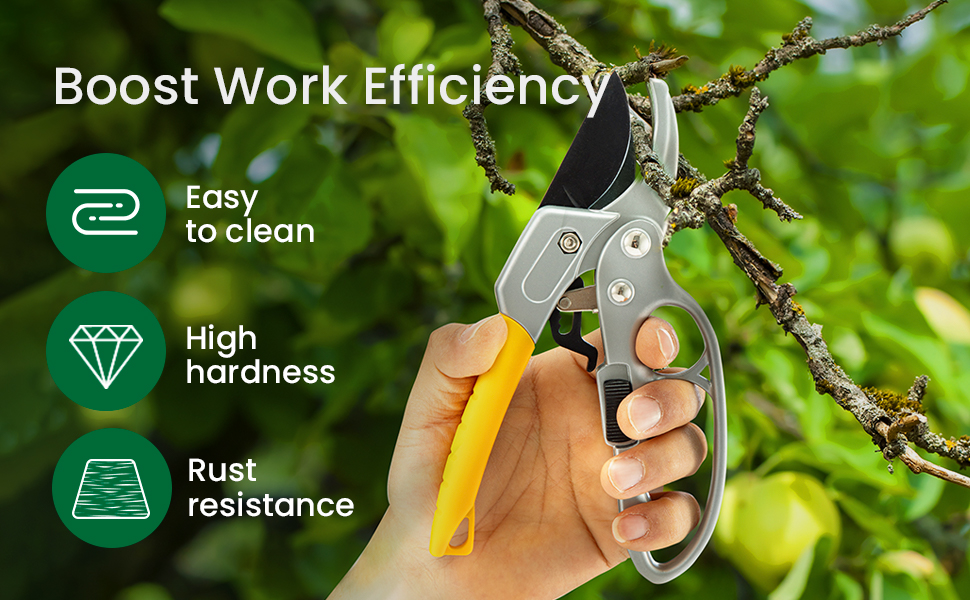 Pruning Shears