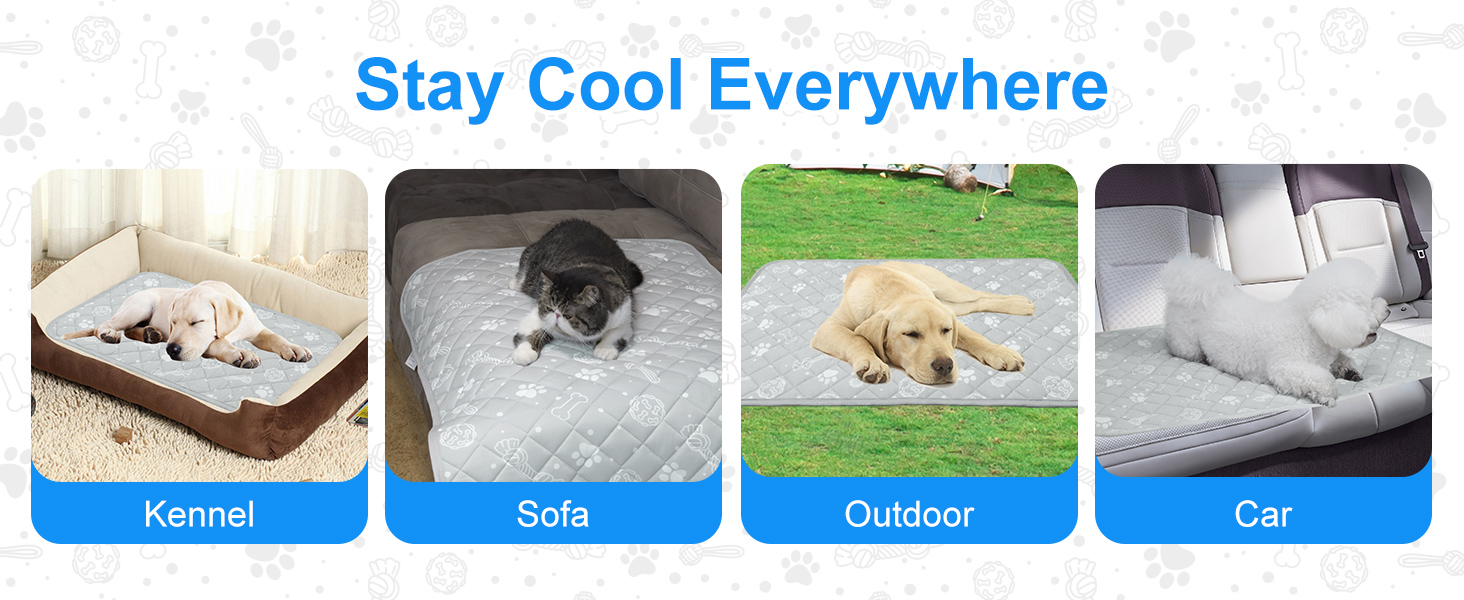 pet mat