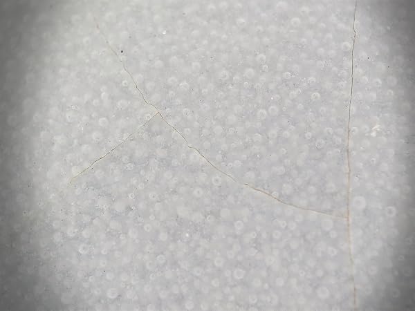 300X Phone Microscope Lens