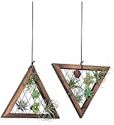 J JACKCUBE DESIGN Air Plant Triangle Frame Hanging Airplant Holder, Rustic Wood Tillandsia, Succu...