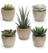 Coitak Artificial Succulent Plants Potted, Assorted Decorative Faux Succulent Potted Fake Cactus ...